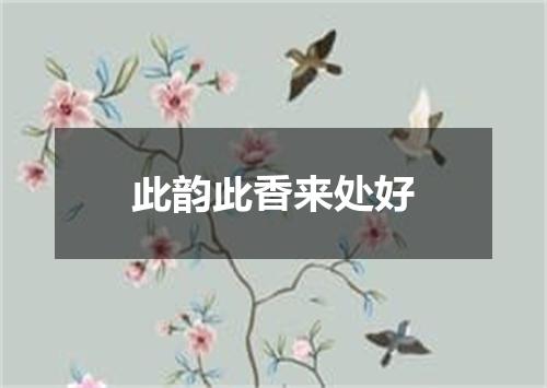此韵此香来处好