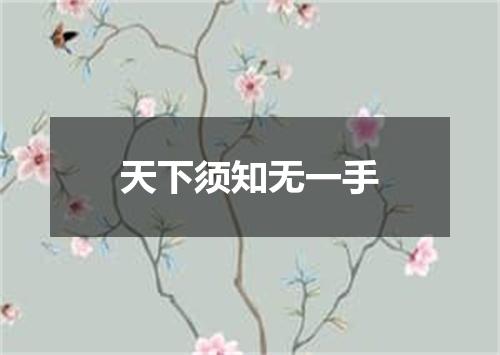 天下须知无一手