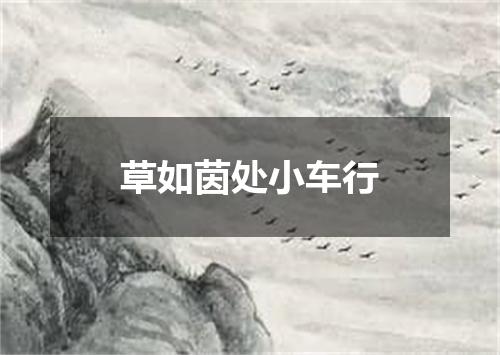 草如茵处小车行