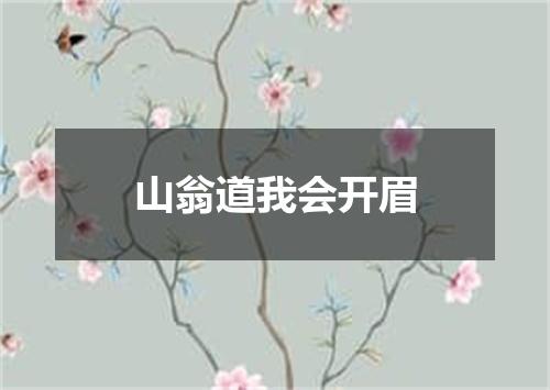 山翁道我会开眉
