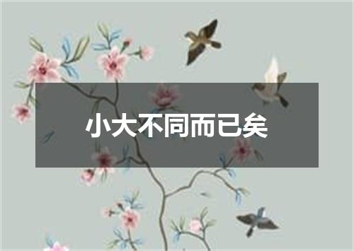 小大不同而已矣