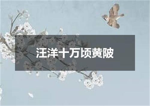 汪洋十万顷黄陂