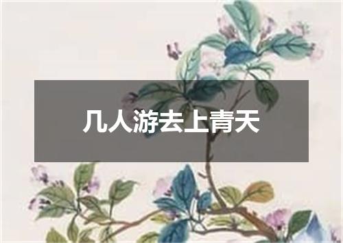 几人游去上青天