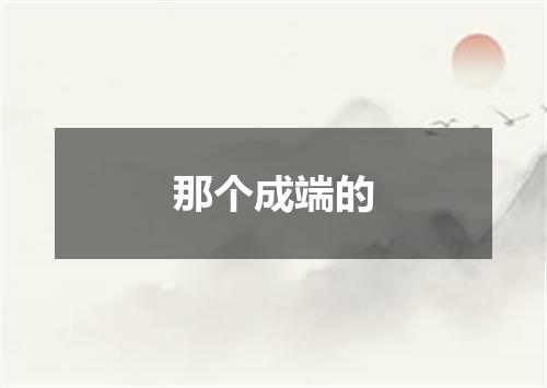 那个成端的