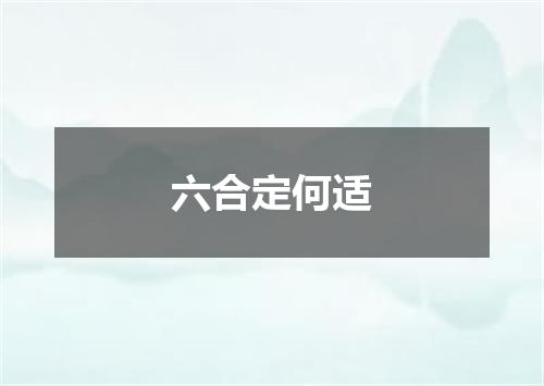 六合定何适