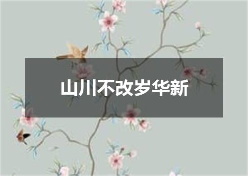 山川不改岁华新