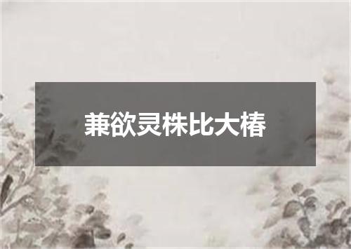 兼欲灵株比大椿