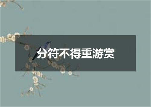 分符不得重游赏
