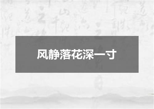风静落花深一寸
