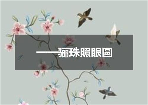一一骊珠照眼圆