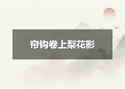 帘钩卷上梨花影