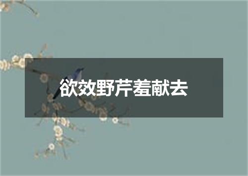 欲效野芹羞献去
