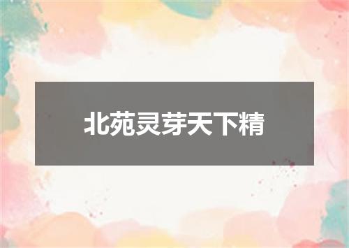 北苑灵芽天下精