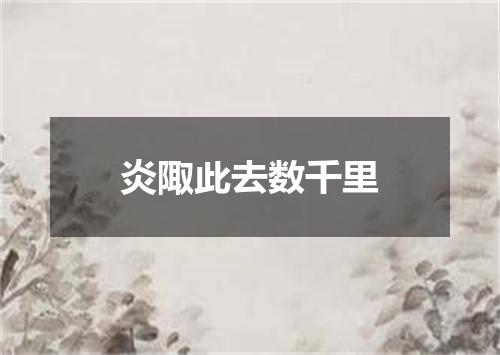 炎陬此去数千里