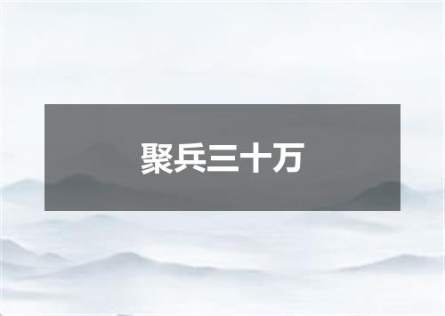 聚兵三十万