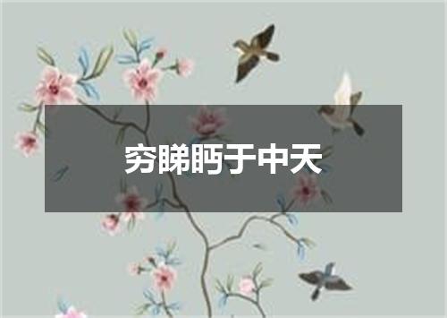 穷睇眄于中天