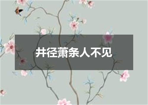 井径萧条人不见