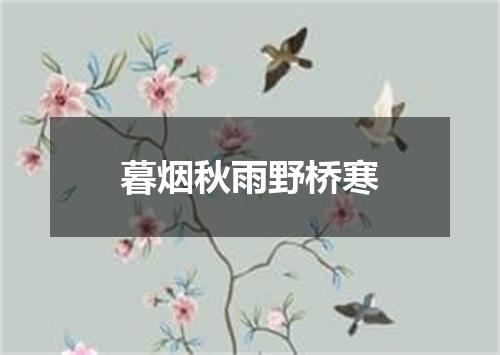 暮烟秋雨野桥寒