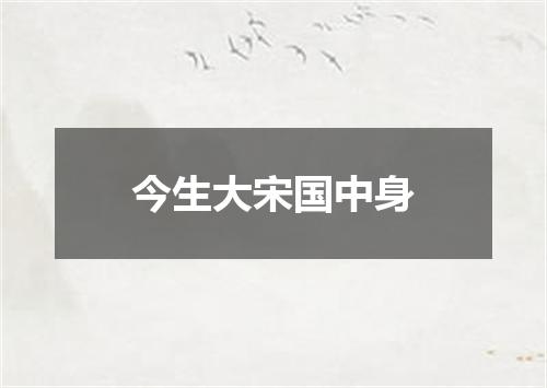 今生大宋国中身