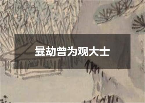 曩劫曾为观大士