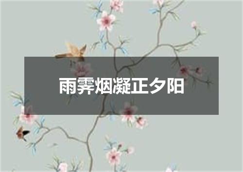 雨霁烟凝正夕阳