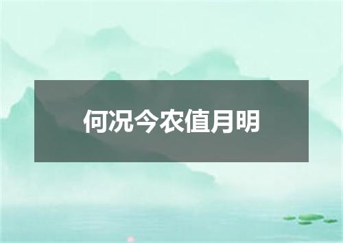 何况今农值月明