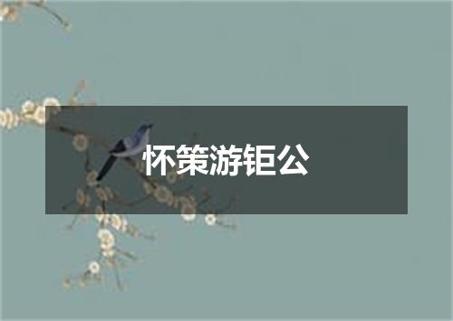 怀策游钜公