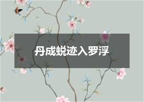 丹成蜕迹入罗浮