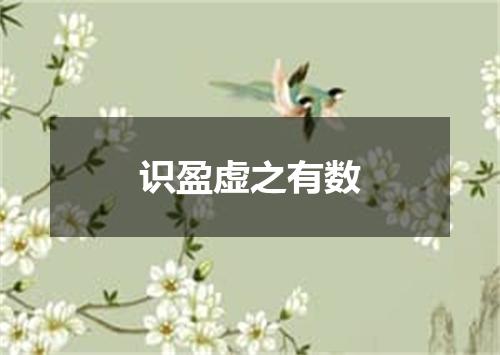 识盈虚之有数