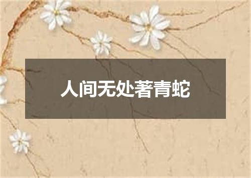 人间无处著青蛇