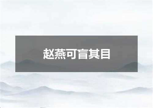 赵燕可盲其目