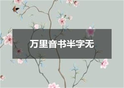 万里音书半字无