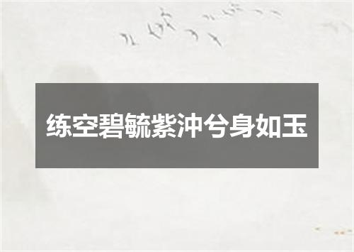 练空碧毓紫沖兮身如玉