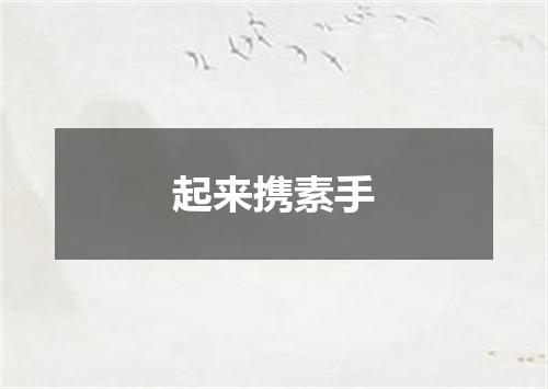起来携素手