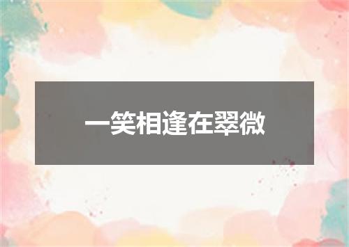 一笑相逢在翠微