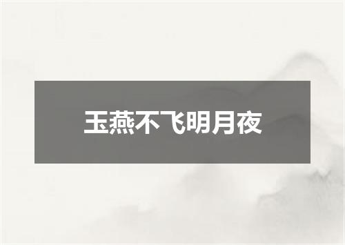 玉燕不飞明月夜