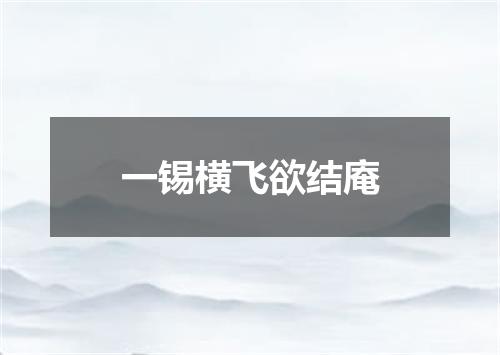 一锡横飞欲结庵