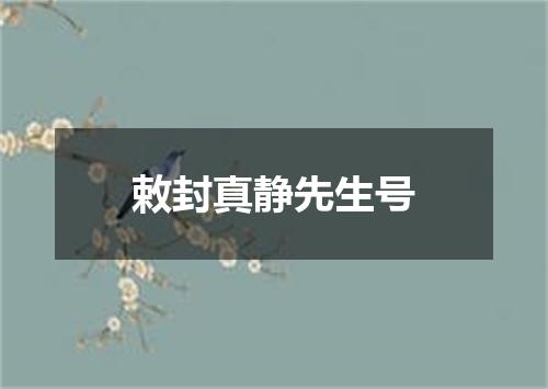 敕封真静先生号