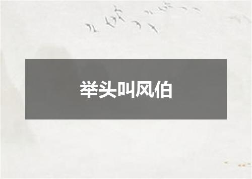 举头叫风伯
