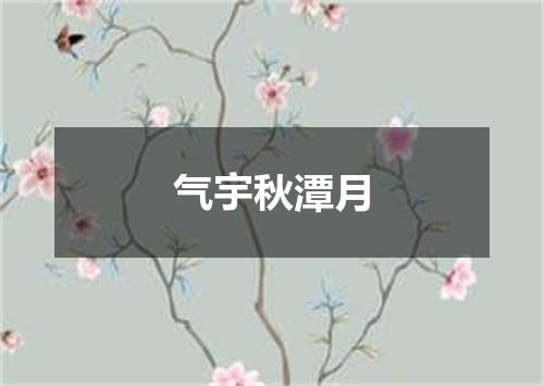 气宇秋潭月