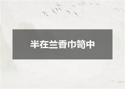 半在兰香巾笥中