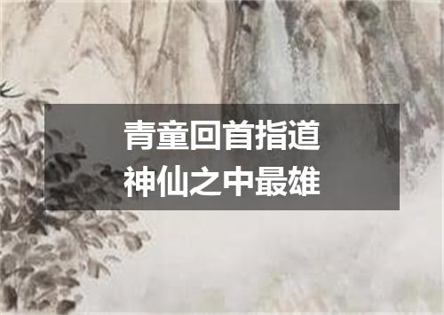 青童回首指道神仙之中最雄