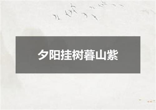 夕阳挂树暮山紫