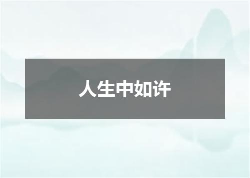人生中如许