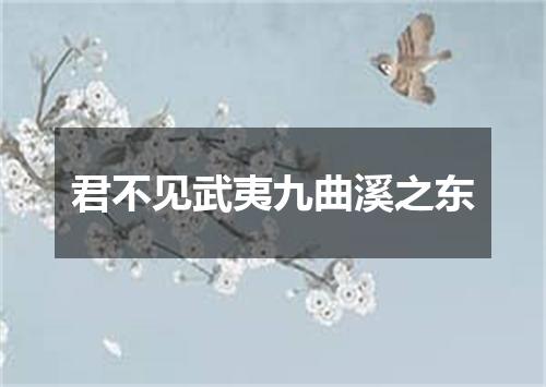 君不见武夷九曲溪之东