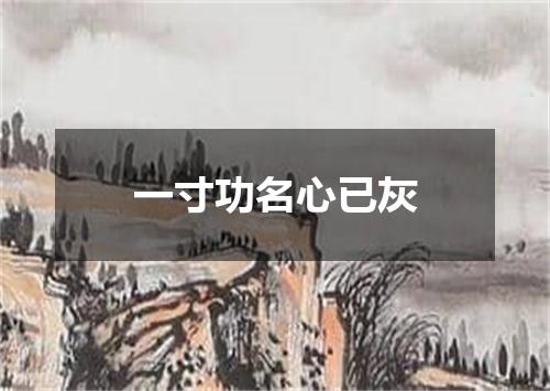 一寸功名心已灰