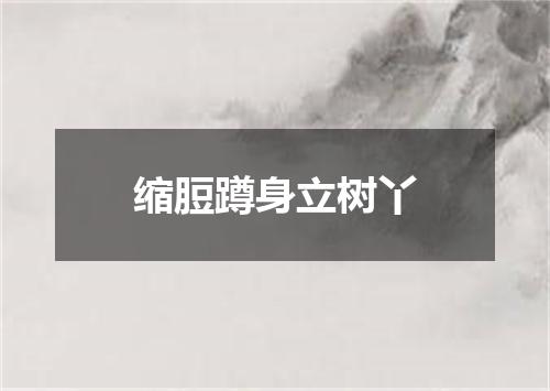 缩脰蹲身立树丫