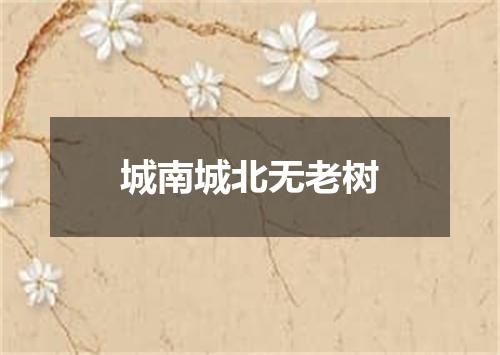 城南城北无老树