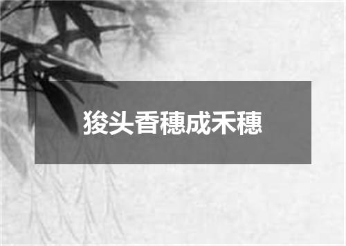 狻头香穗成禾穗