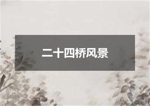 二十四桥风景